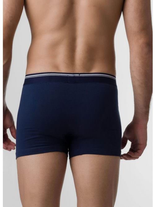 1097 blue back
