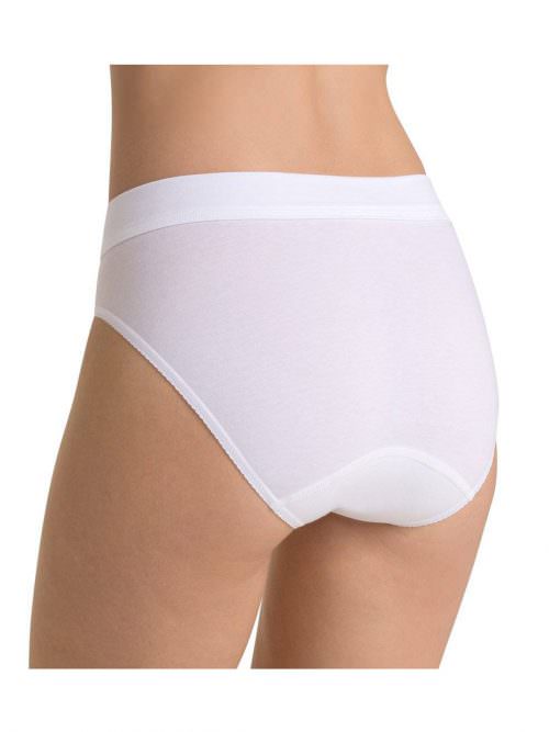 white back