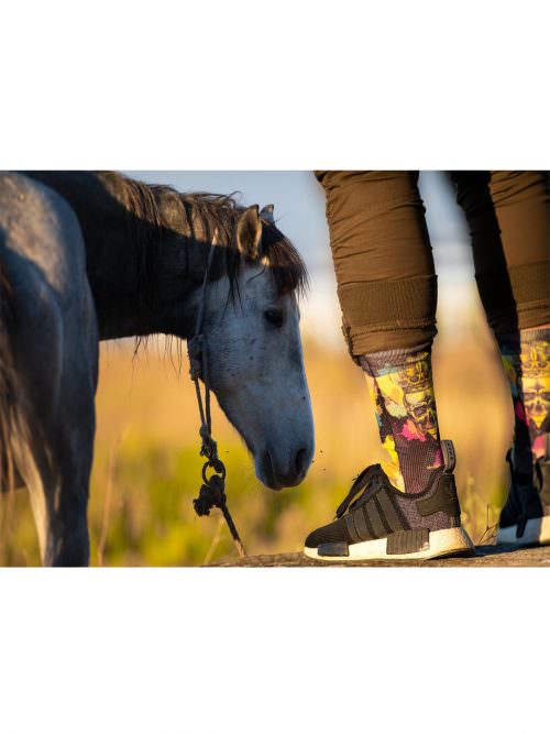 der kaiser horse